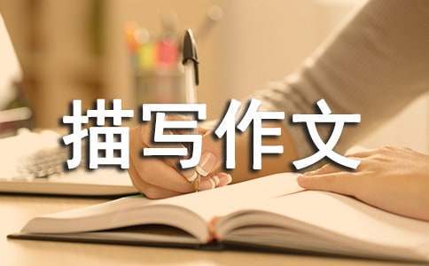 为什么篮球教练的经验很重要_0
